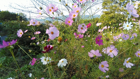 第8章　愉快な愉快な心理療法その2　イメージとユーモアによる愉快に生きるための知恵