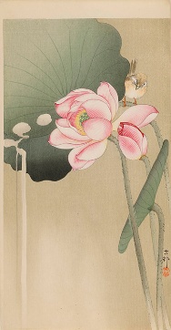 美術裏散歩11  知られざる花鳥画の名手　小原古邨と渡邊省亭