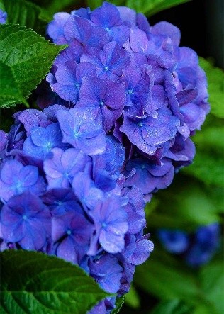 第３章　遥かなる安全への道　その３　トラウマを成長につなげる知恵