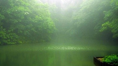 第３章　遥かなる安全への道　その１　愉快に生きるのを妨げるトラウマへの考察